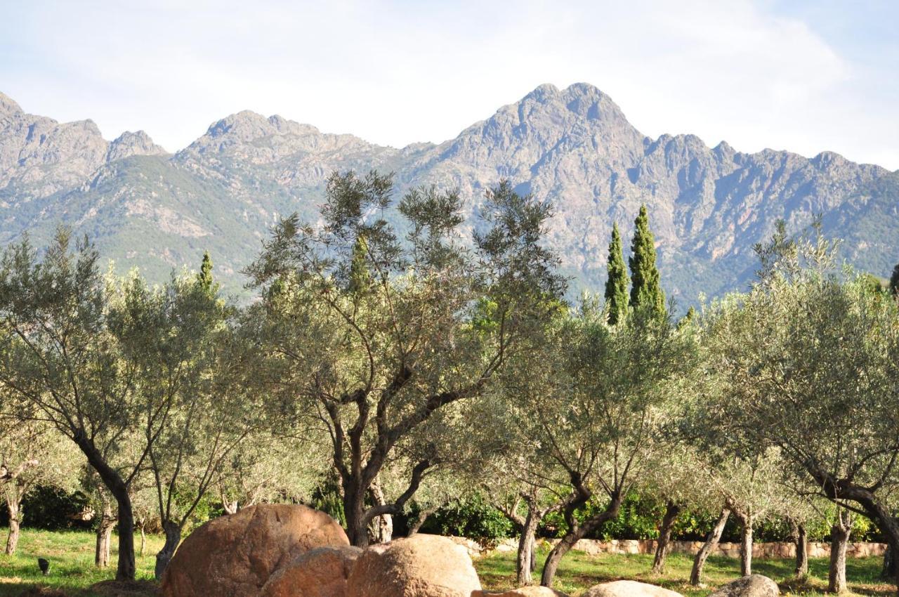 Domaine Codaleone Serriera  Exterior photo